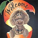 Welcome & Pet Board 